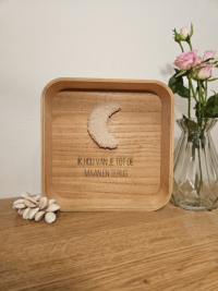 Tot aan de maan en terug