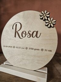 Alternative view of Bordje Daisy