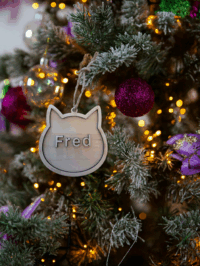 Alternative view of Kerstbal Poezenkopje